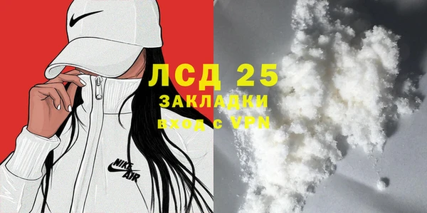 ГАЛЛЮЦИНОГЕННЫЕ ГРИБЫ Богданович
