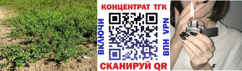 ТГК концентрат Дагестанские Огни