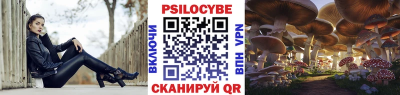 Галлюциногенные грибы мицелий  купить наркотик  kraken как войти  Дагестанские Огни 