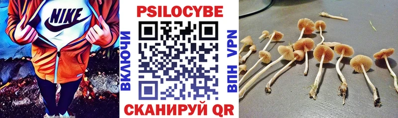 Псилоцибиновые грибы Psilocybe Дагестанские Огни